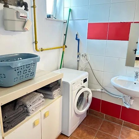 Schwanenstadt Apartment *