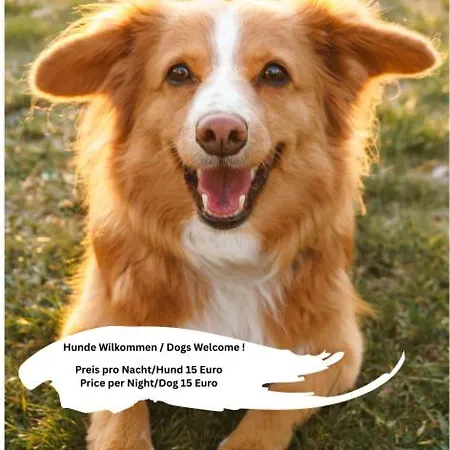 Appartamento Schwanenstadt Oberndorf bei Schwanenstadt